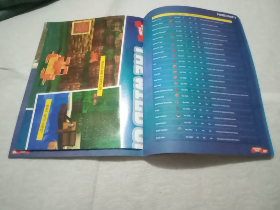 Minecraft Essential Guide