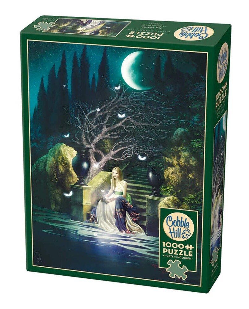 Ten Wishes: Cobble Hill Puzzles