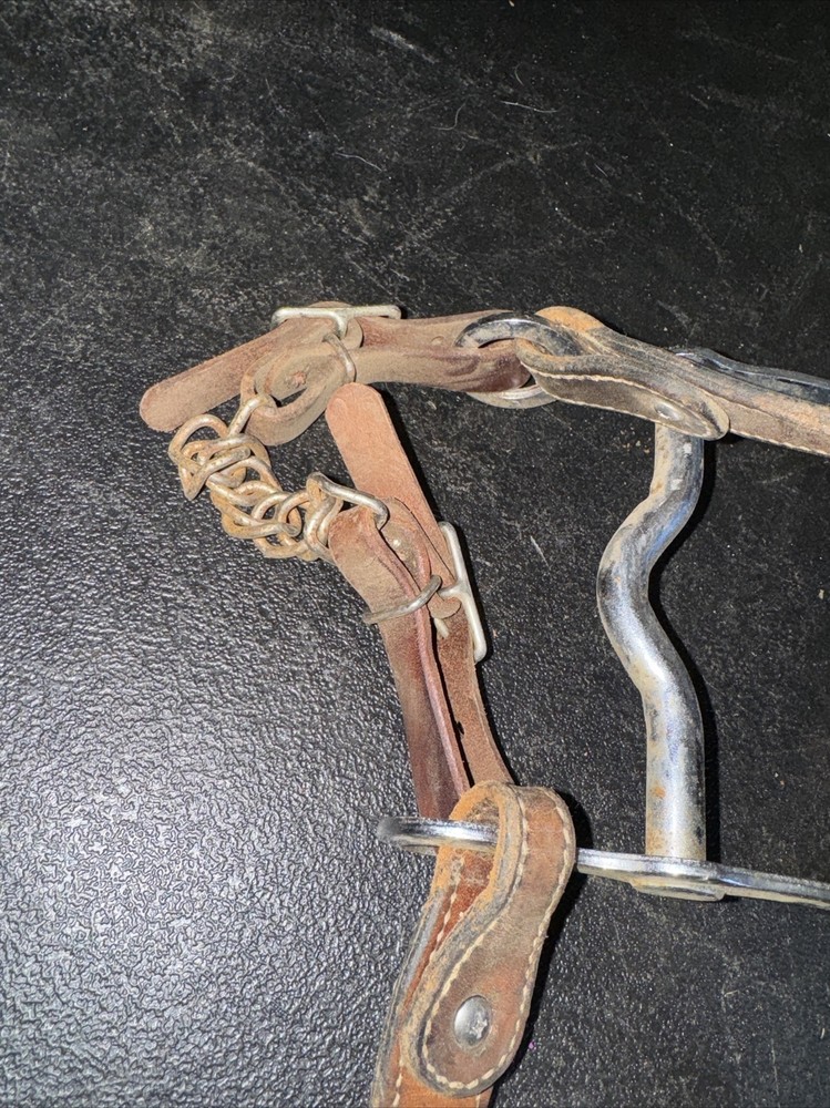 Western Bit 5” Width 7.5” Length With Leather Harness