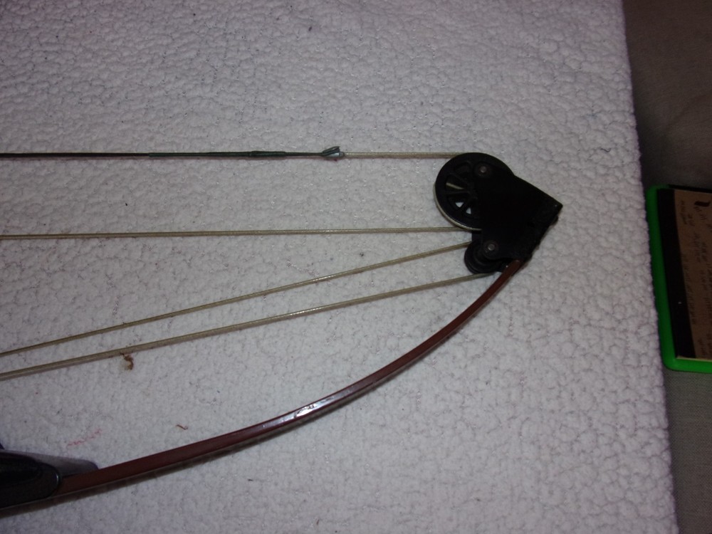 Vintage Bear Archery Whitetail Hunter Compound Bow NICE