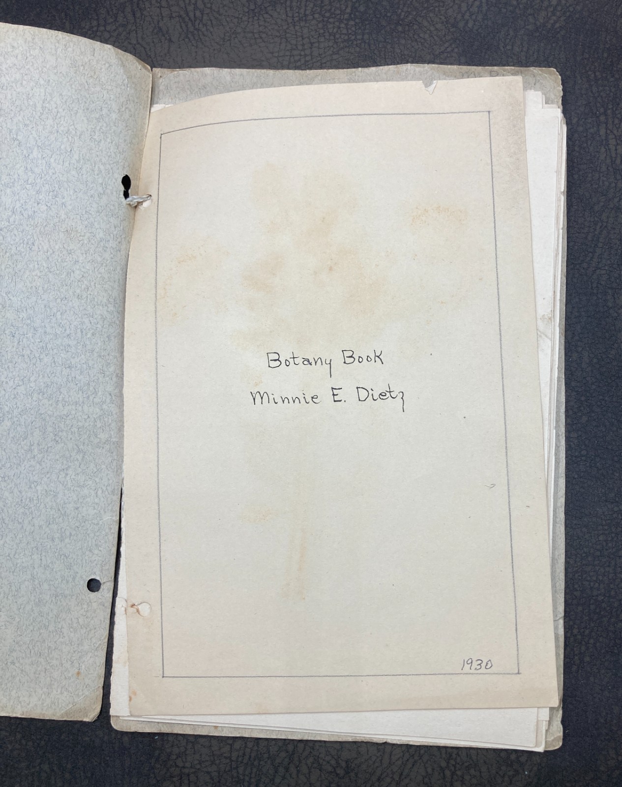 Antique 1930 Child's Botanical Pressed Flower Plant Specimen School Project Book