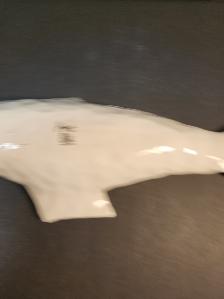 Anouk for & K Amsterdam Pottery Fish Serving Dish