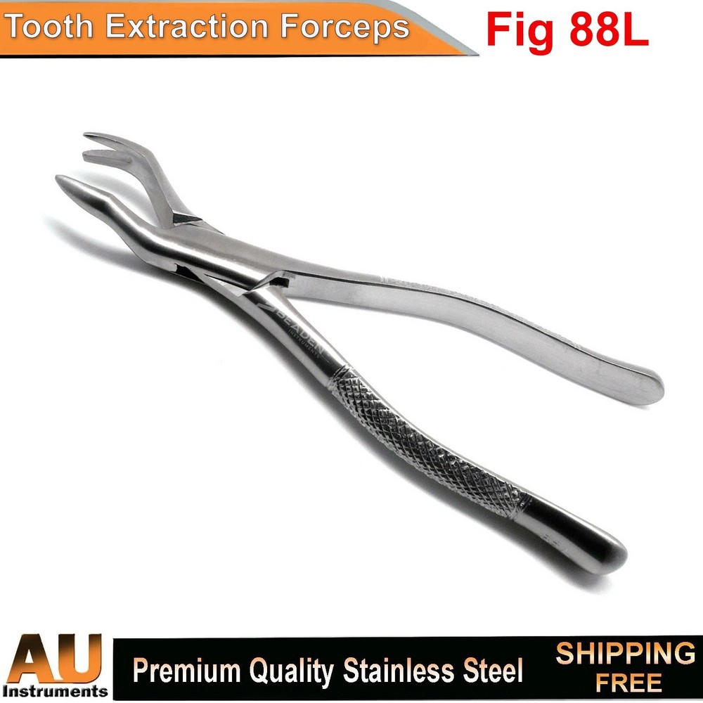 Surgical Fig 88L Dental Extraction Forceps Tooth Molar Extracting Instruments CE