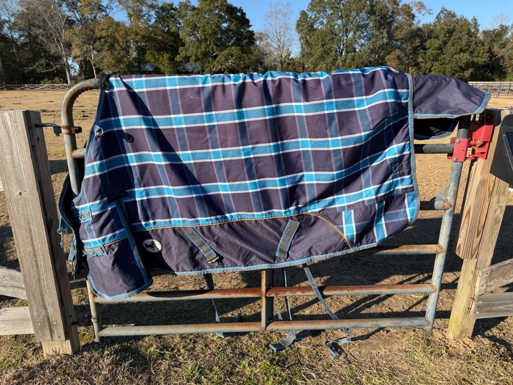 horse blanket