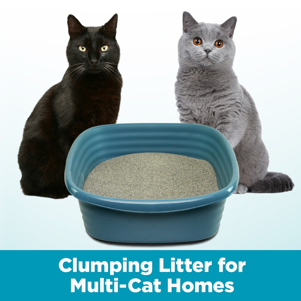 Cloud Control Multi-Cat Clumping Cat Litter W/ Hypoallergenic Light Scent