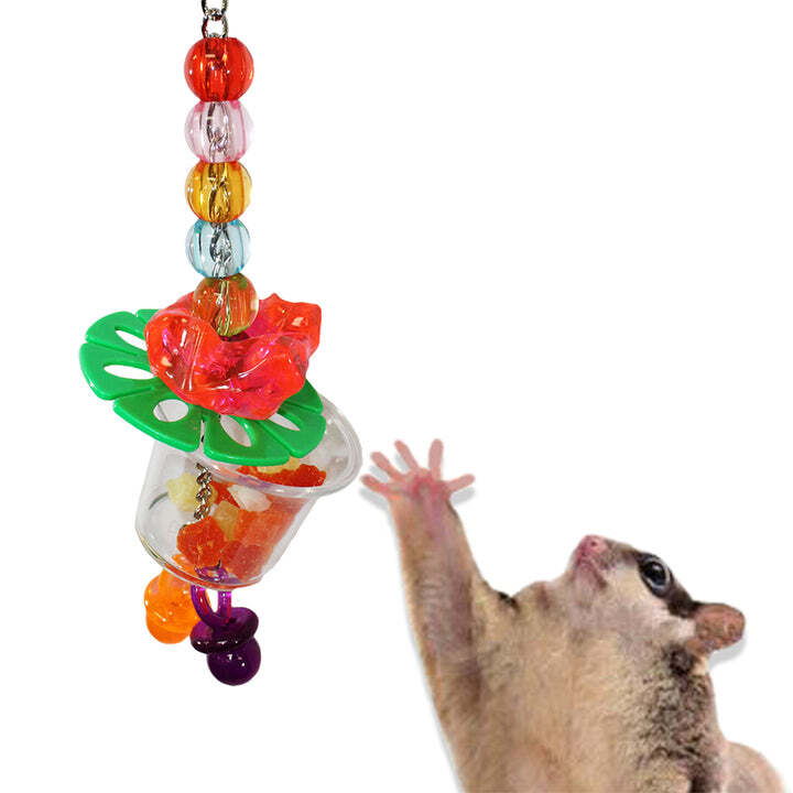 Cage Enhancement Set (Premium) - Interactive Climbing Foraging Accessory