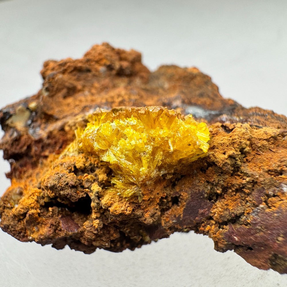Legrandite: Ojuela mine, Mapimi, Durango State, Mexico