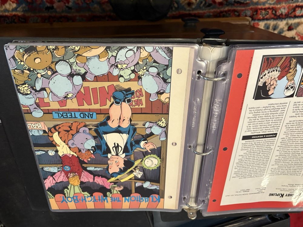 Comic Book Bio Binder