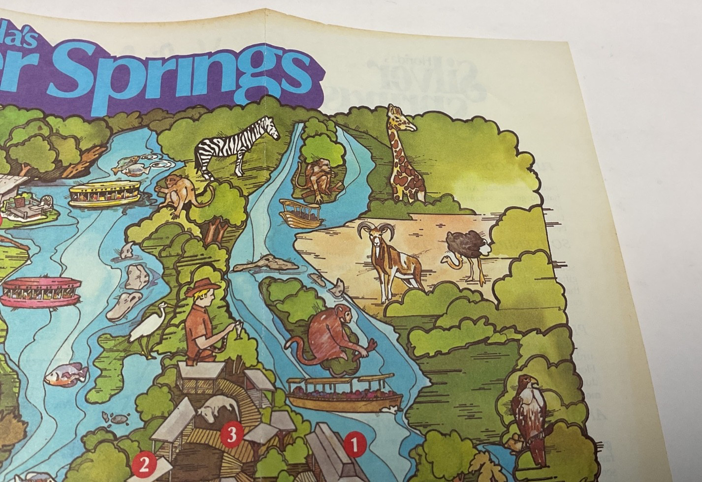 Florida Silver Springs 1988 Souvenir Brochure & Silver Springs Park Map T