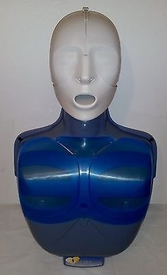 Actar D-Fib Lungs Pack