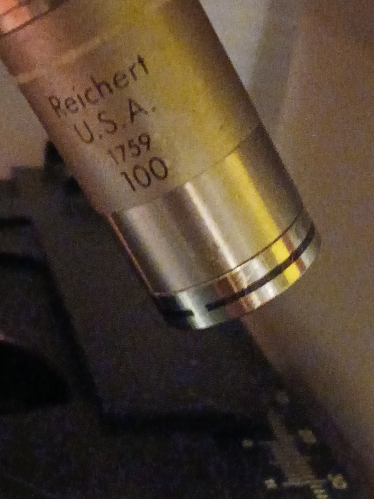 Reichert Microstar IV Series Model 410 Microscope