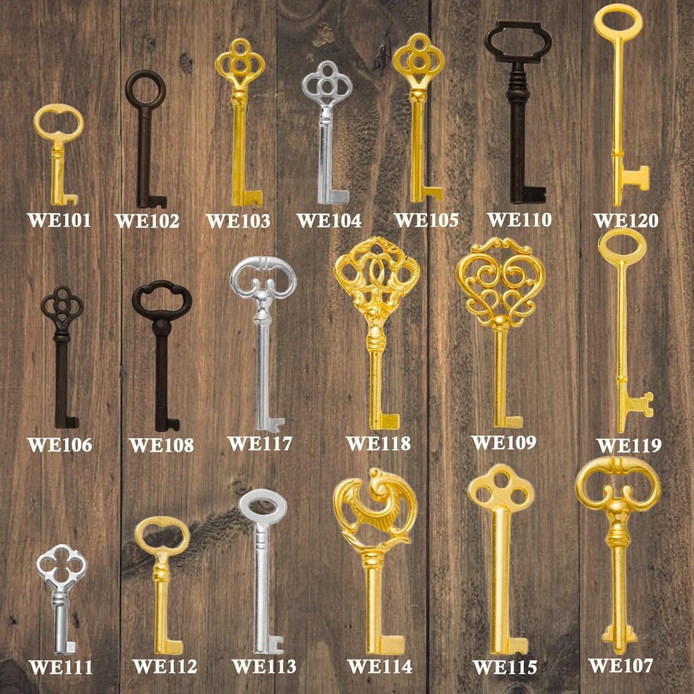 19PCS Universal Skeleton Keys Replacement Hollow Barrel Skeleton Keys Set