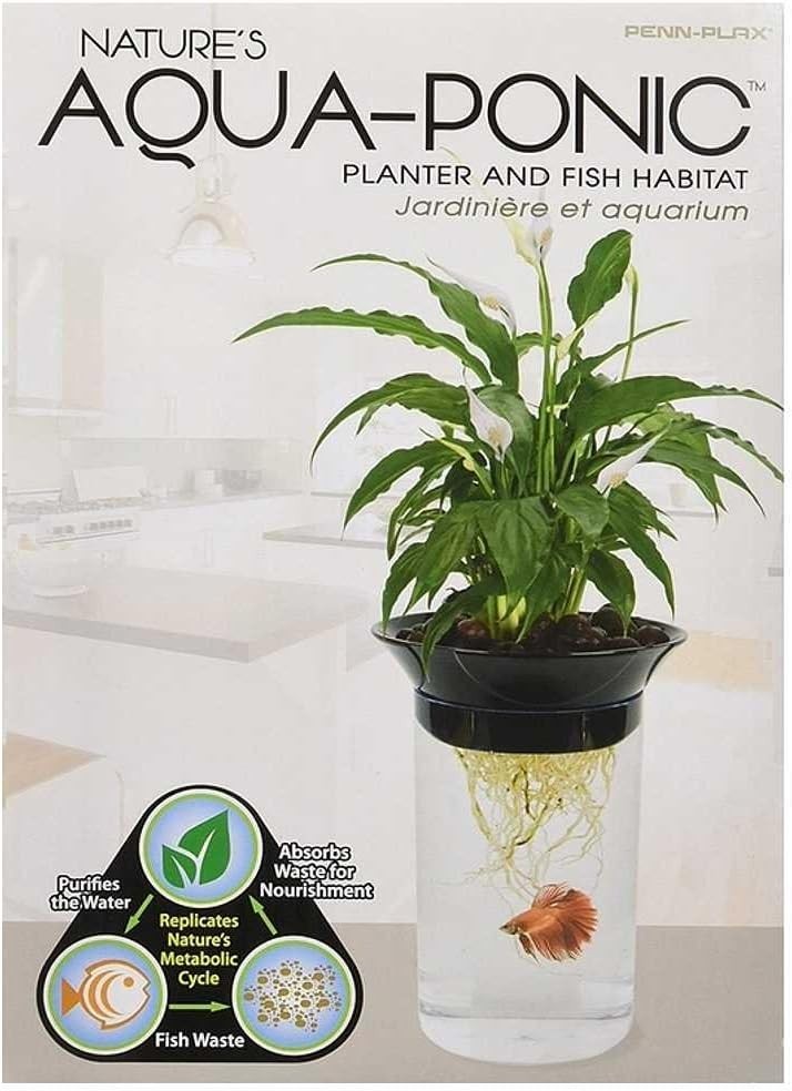 Aquaponic Planter for Betta Fish