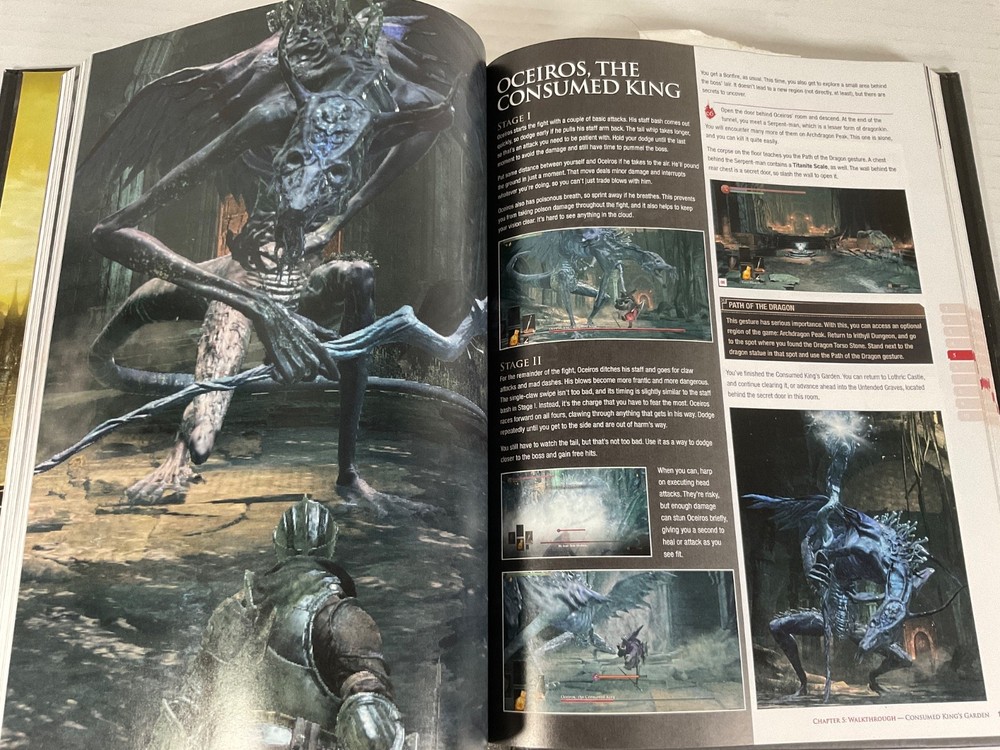 Dark Soul lll Gaming Book