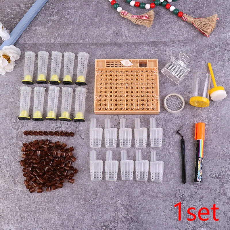 1 Set Cages King Queen Rearing System Plastic Bee Catcher Box Cell Cups Cage