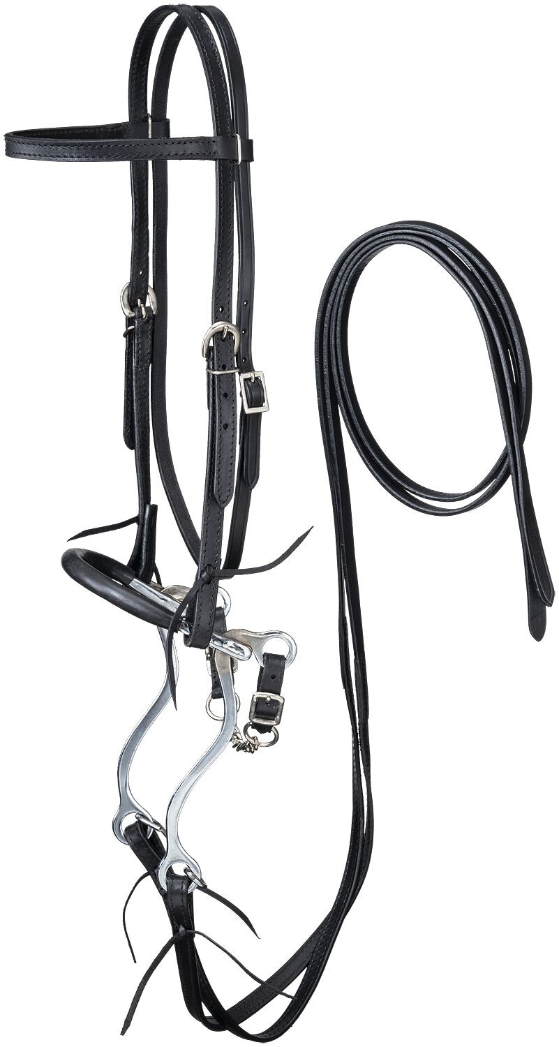 Browband Headstall - Reins - Curb Chain and Hackamore Set - 3 Color Choices