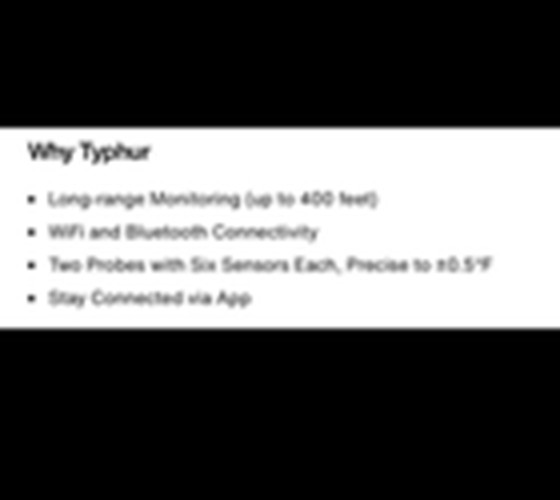 Typhur Sync Dual Wireless Meat Thermometer Probes BBQ Model WT03