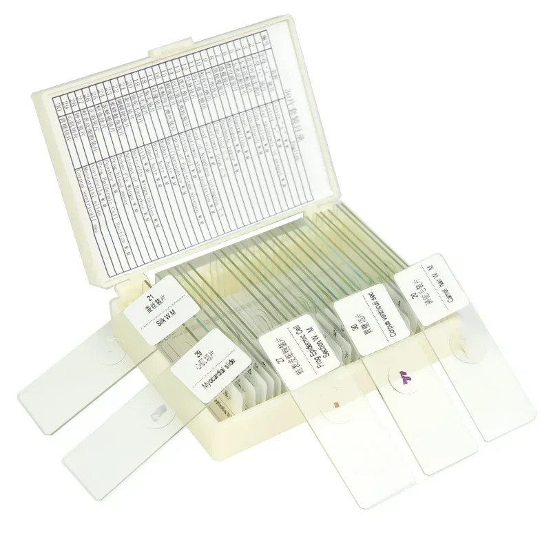 30PC Prepared Biological Basic Tissues Science Cover Slips Microscope Slides