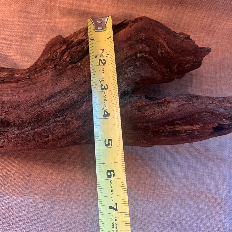 18" x 5" Redwood Driftwood Organic Craft Aquarium Rustic Boho Natural Wood