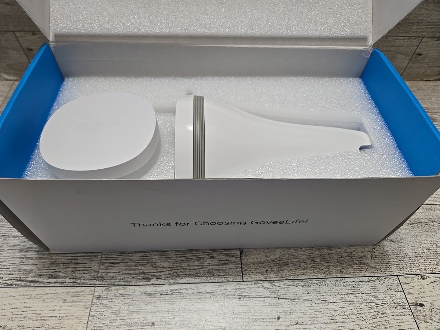 GoveeLife Smart Pool Thermometer with WiFi Gateway, Digital Swimming White