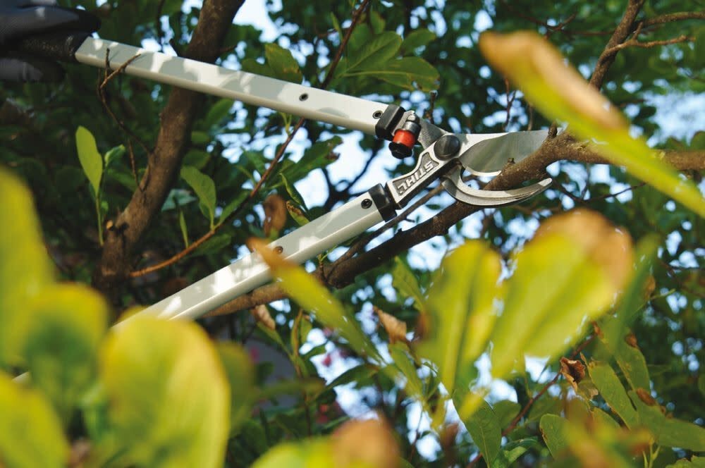 Stihl PL 30 Lopper