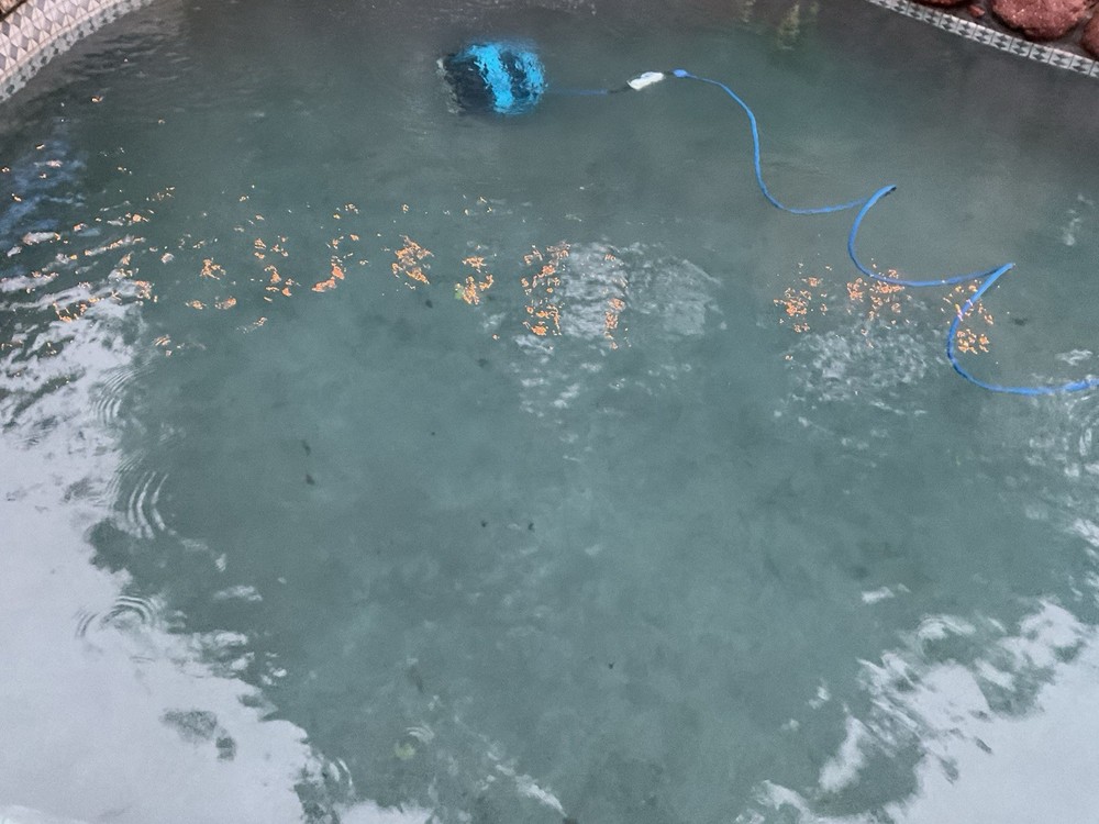Dolphin Nautilus CC Plus Robotic Pool Vacuum Pool Cleaner Pool Sweep…