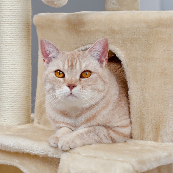 Cat Tree Cat Tower with Double Condos Spacious Perch Sisal Scratching Post Beige