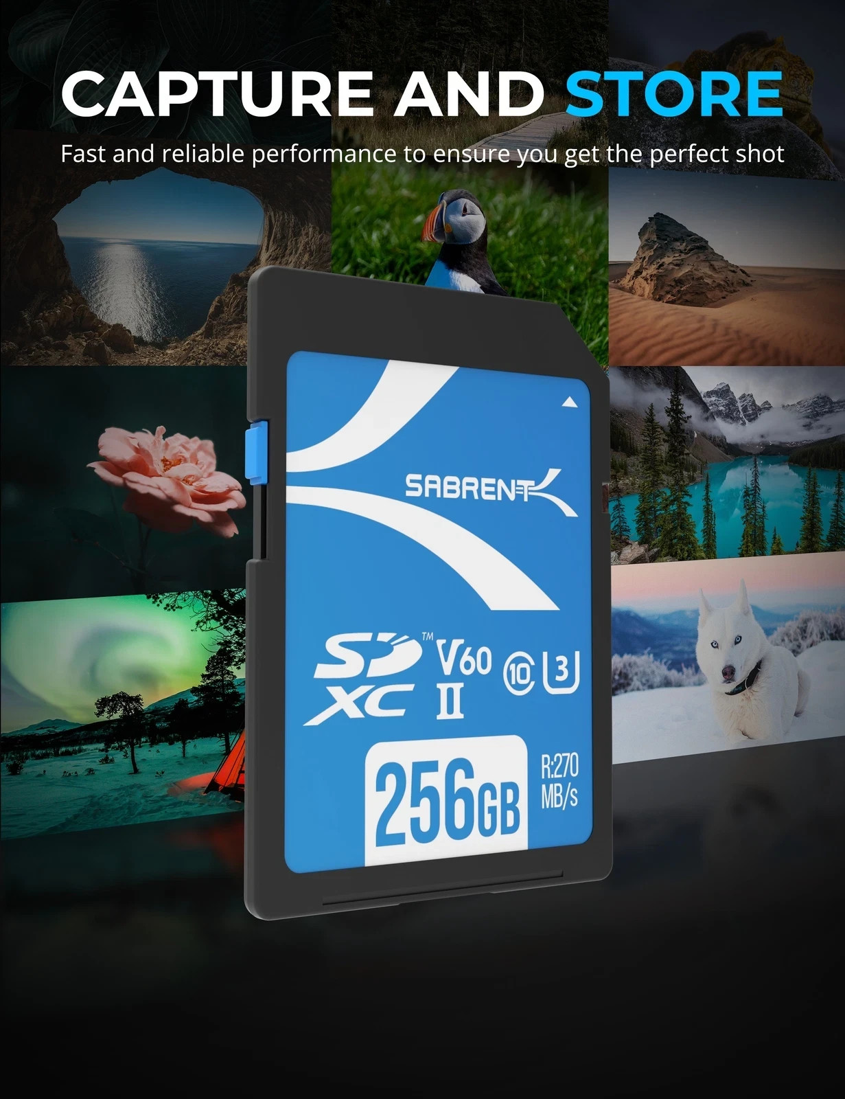 Sabrent Rocket V60 256GB UHS-II Memory Card | SD-TL60-256GB