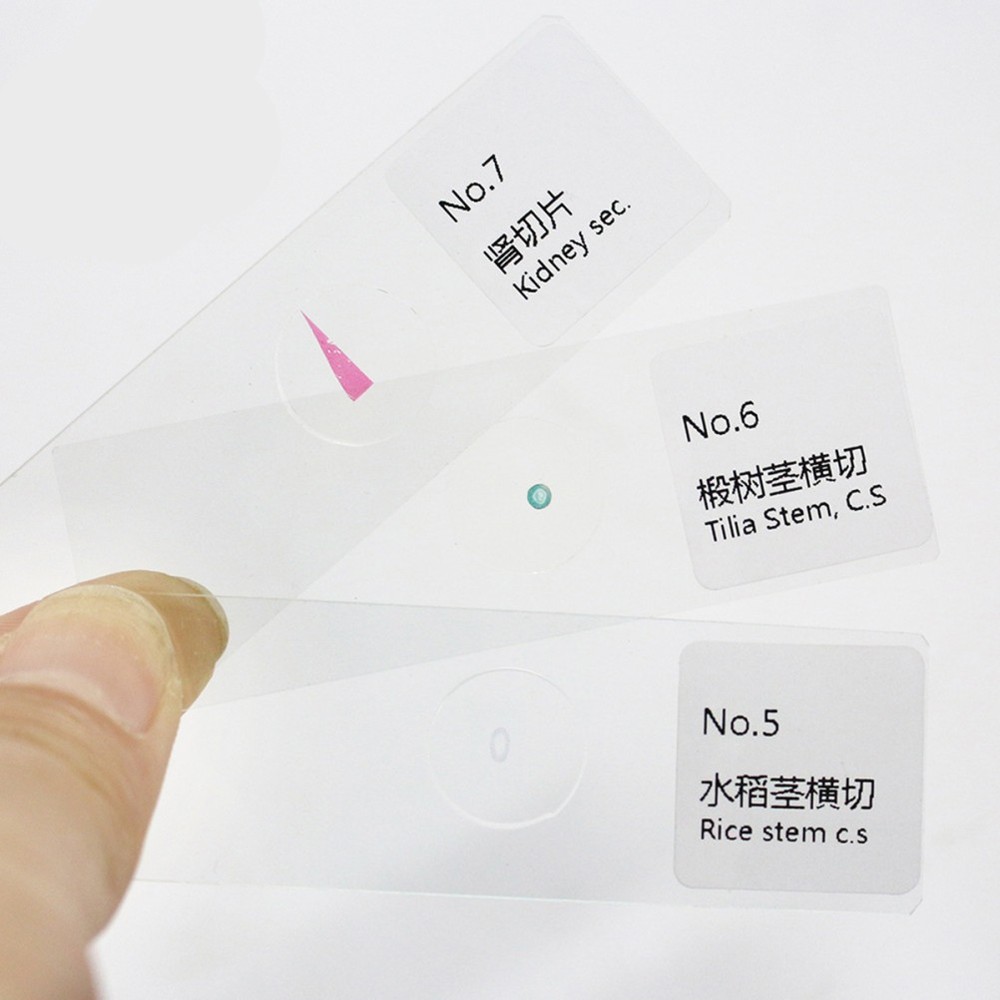 10 PCS/Set Specimen Slides for Microscope Calibration Sample Biology Lab