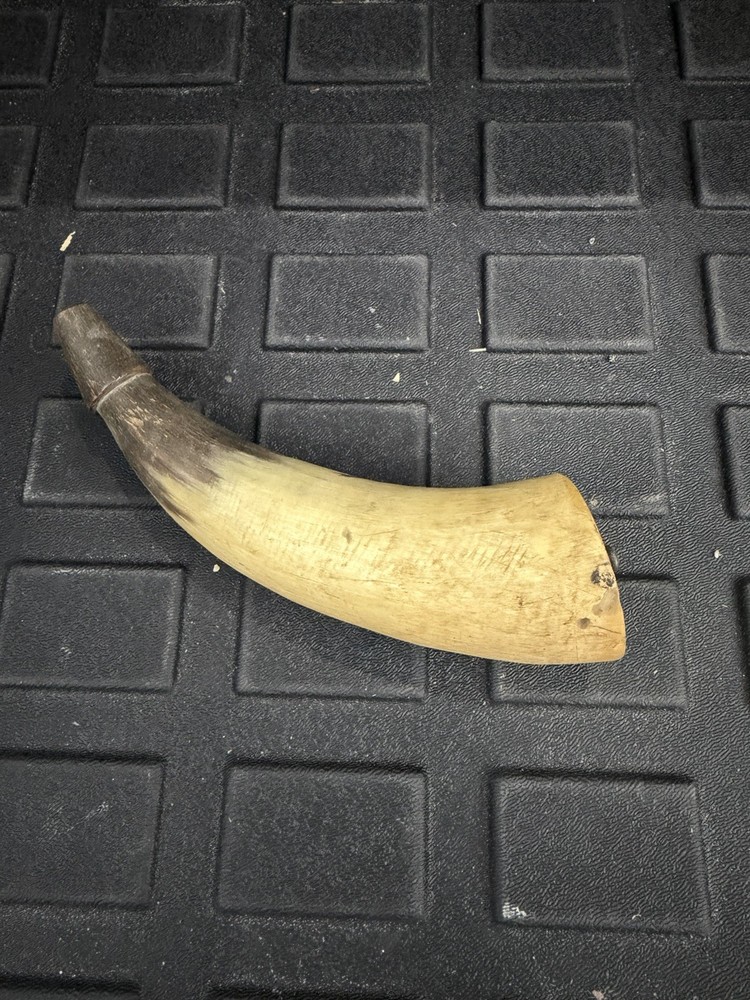 Vintage Powder Horn for Muzzleloader