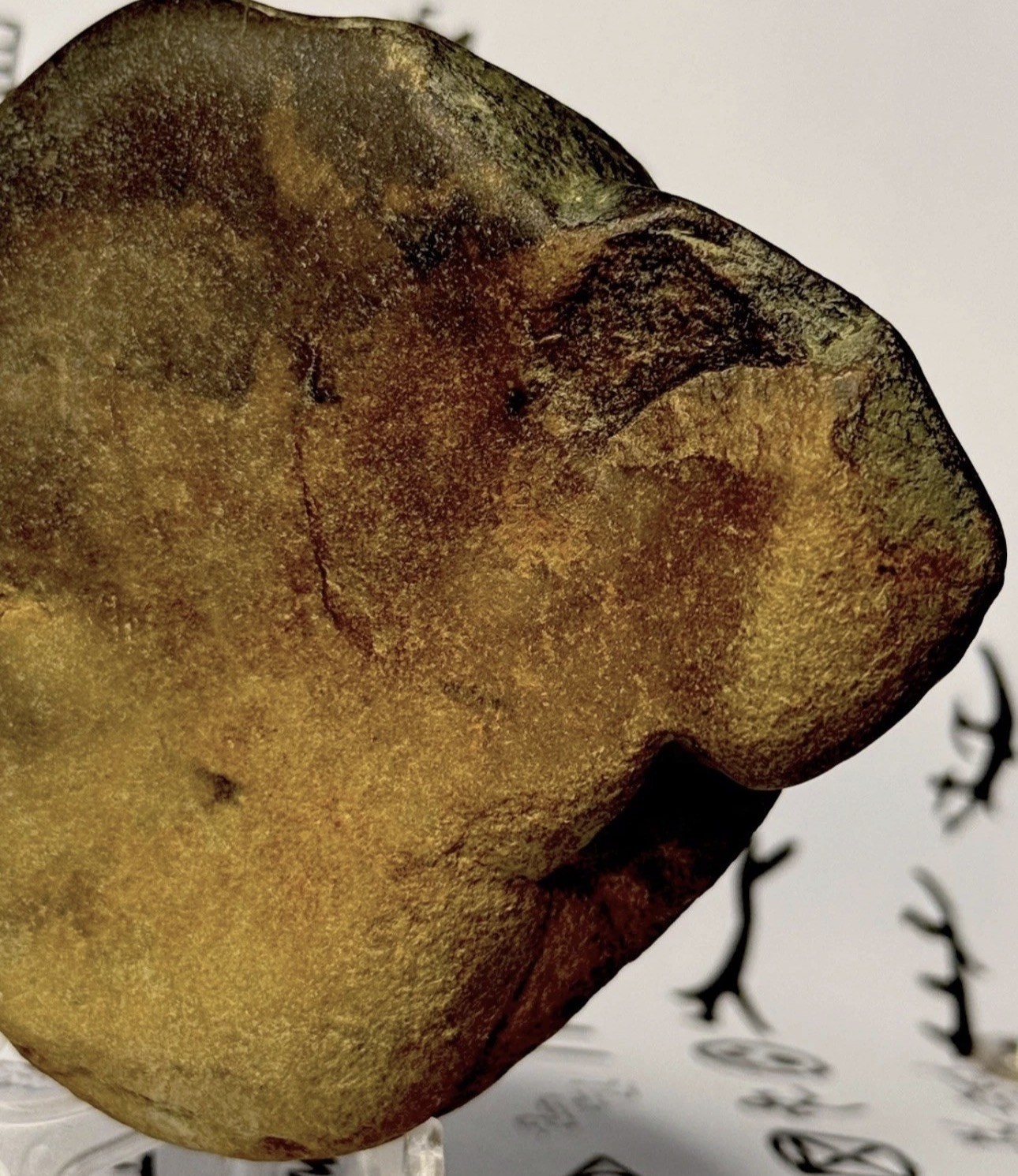 Native American Indian Authentic Artifact Stone Carved Effigy, 1 lb 3 oz • VA