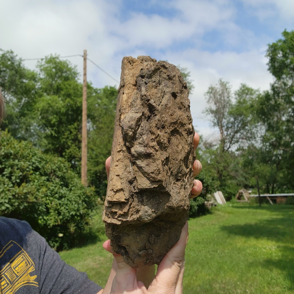 Large Heavy Dinosaur Bone Section - Authentic Fossil - from Hell Creek Formation