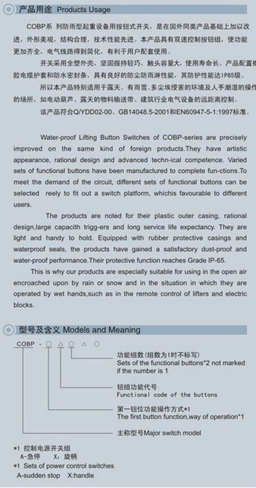 1PC COBP-AS4 Rainproof and dustproof 9 button Crane control switch double speed