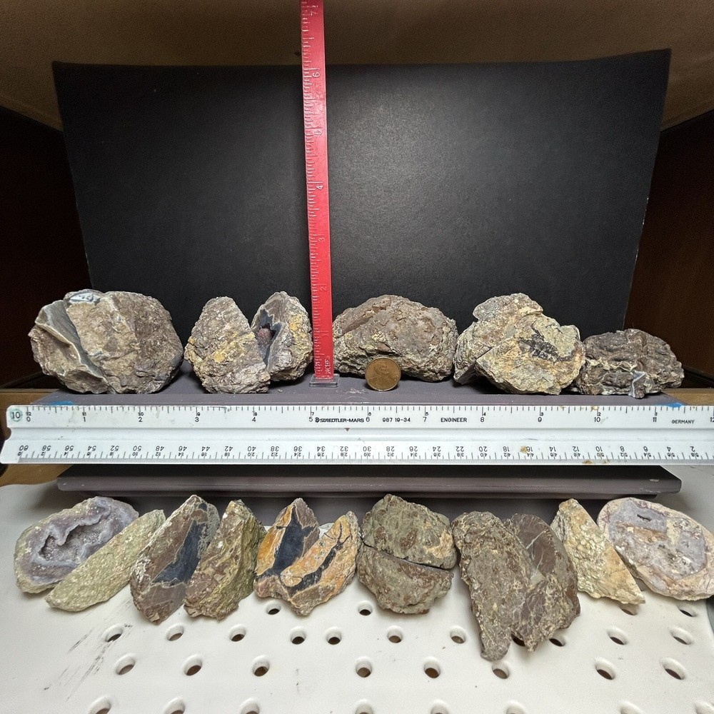 Thunder eggs /cut/3.16 Pounds