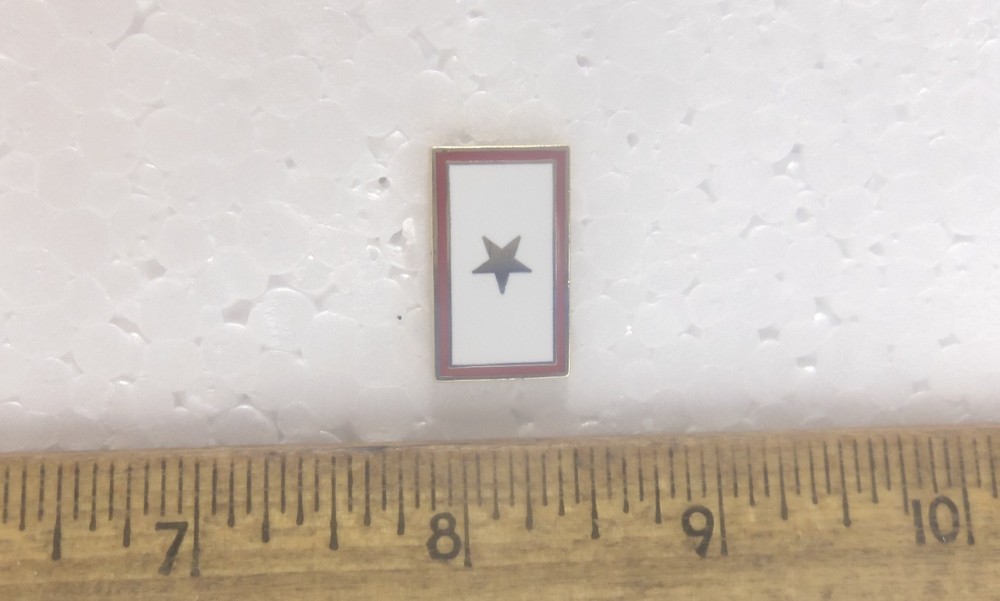 Gold Star Pin