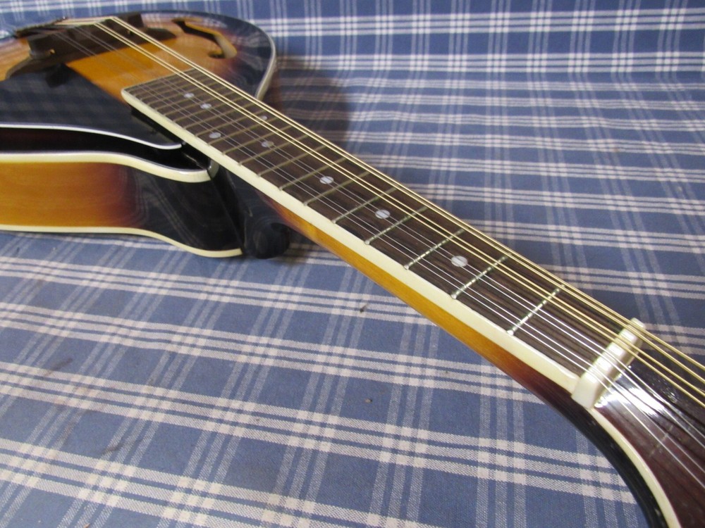Rogue Fine Instruments RM-100A Mandolin. (Please Read Carefully) FREE SHIPPING.