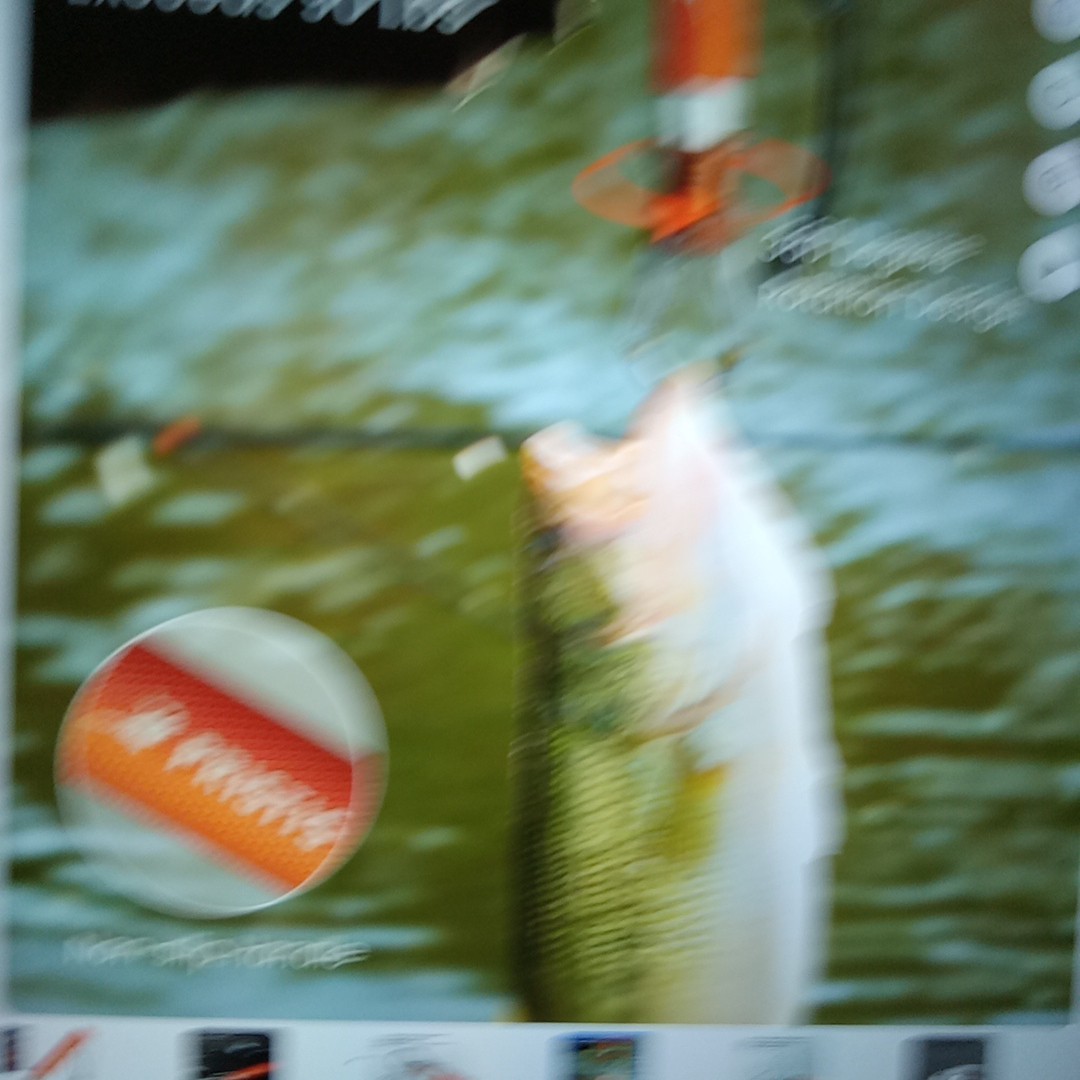 Pristis Metal Fish Lip Gripper