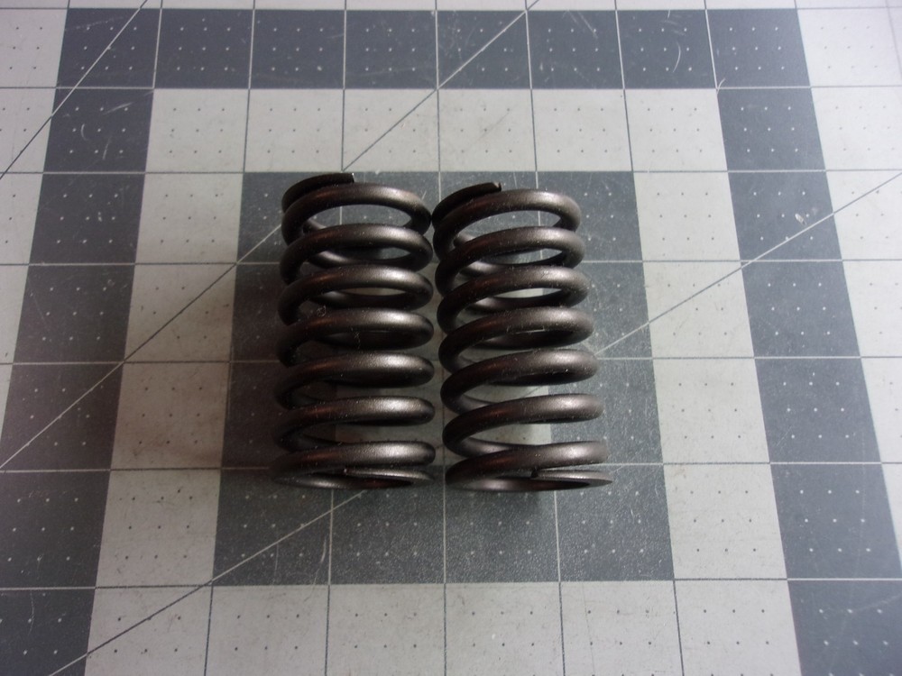 SBI 160-1412 (2) Valve Springs