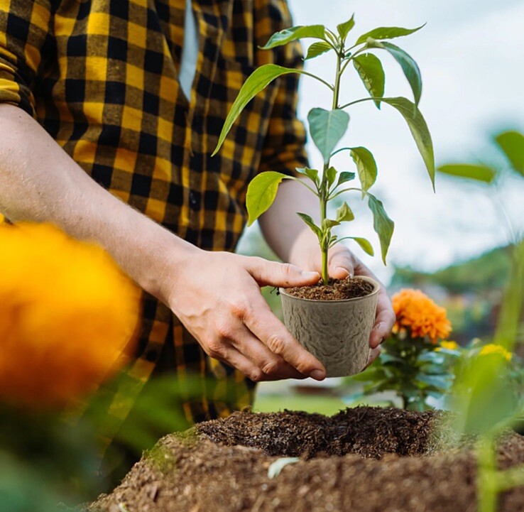 Biodegradable Peat Pots Set of 2 (20) pots