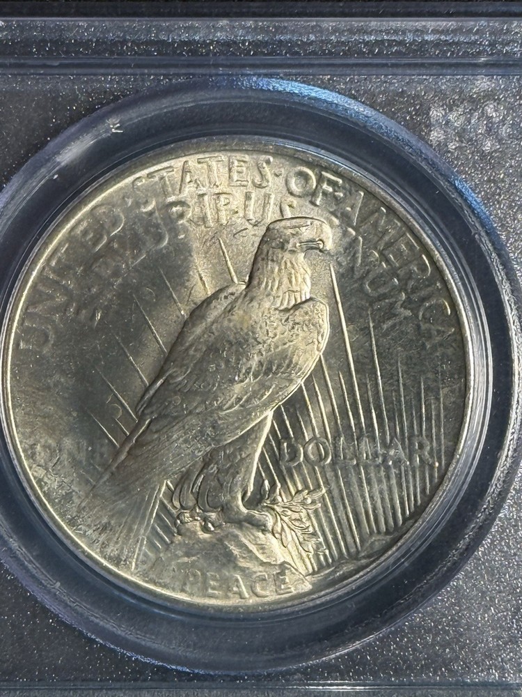 1925 Peace Silver Dollar PCGS MS-65