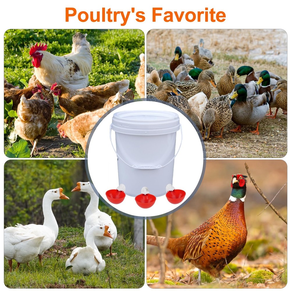 Automatic Chicken Waterer Cups 6 Pack Large Leakproof Poultry Feeder - Easy