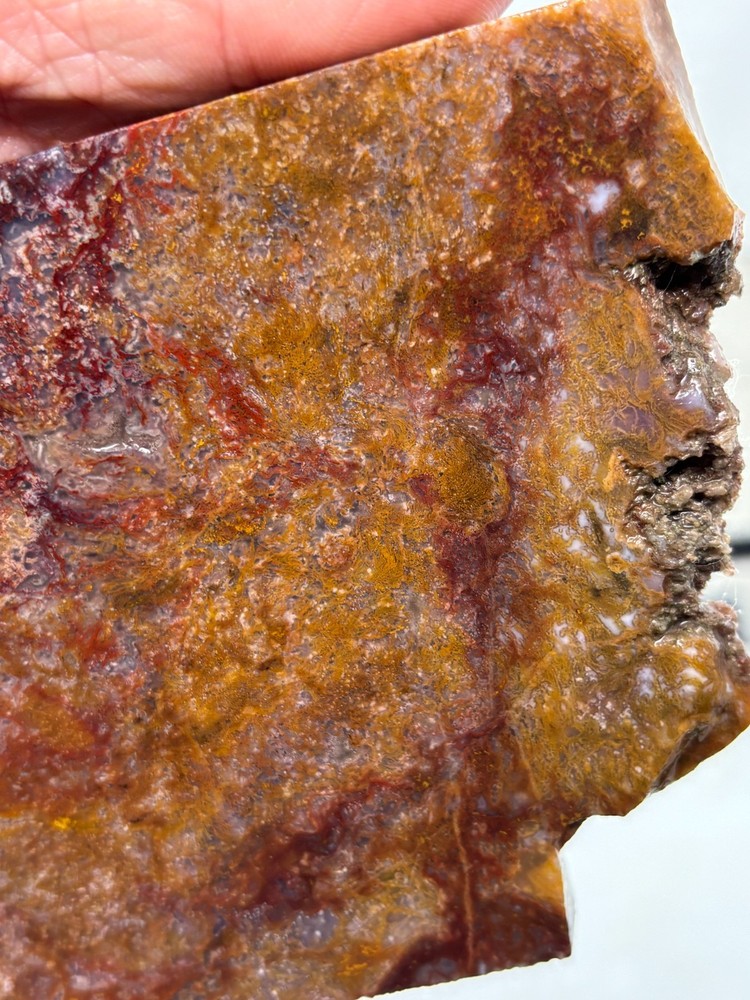 Large Mexican Red Moss Agate Slab Lapidary Cabbing Combo Ship Avail