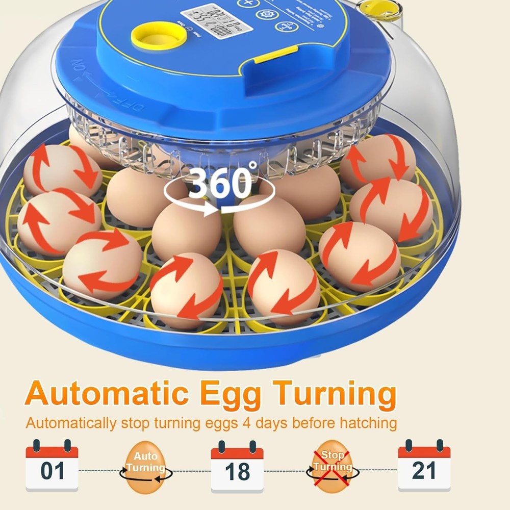 Incubators for Hatching Eggs,12 Egg Incubator with Automatic Egg Turning and ...