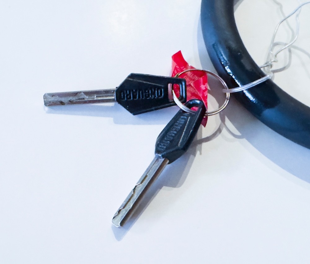 OnGuard OG Series U Lock