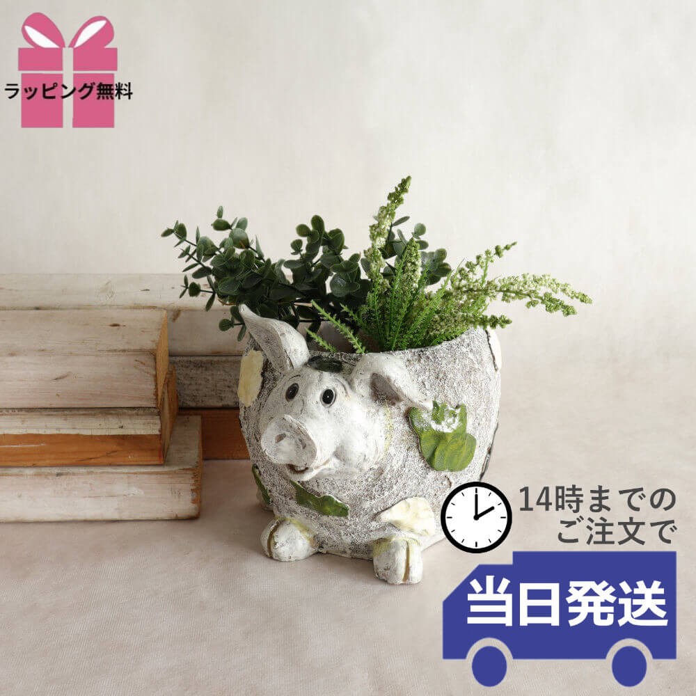 Pig Planter Gardening Pot, Size 3 (9cm)