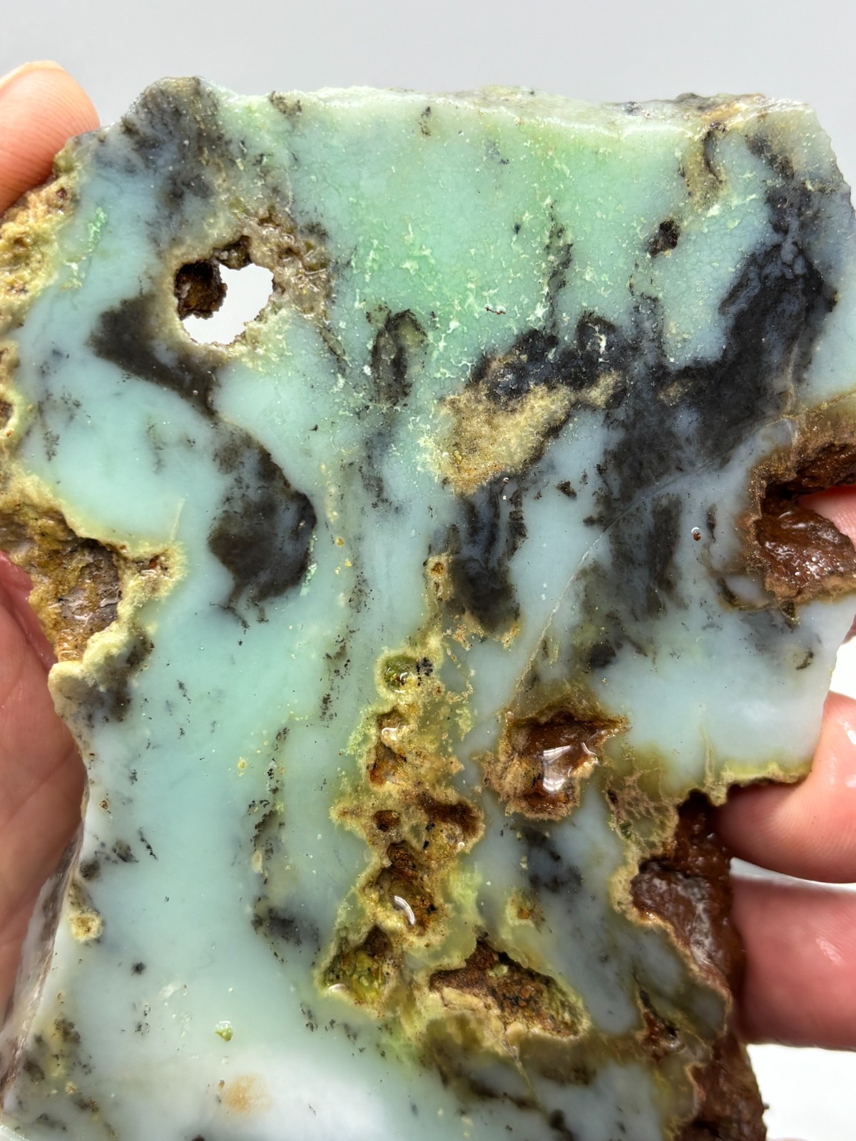 Indo Dendritic Chrysoprase Slab Cabbing Lapidary Collecting Combo Ship Avail