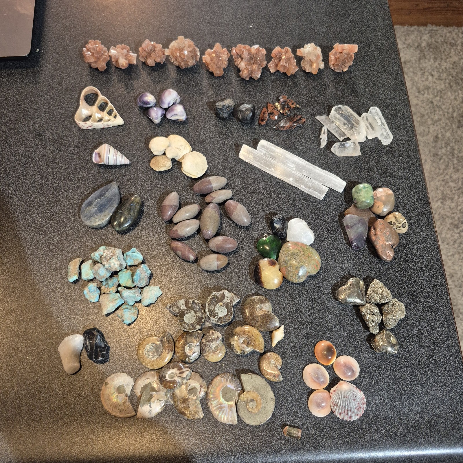 Ammonite Fossils, Crystals, Mineral Specimens, Shells, Cabochons Mixed Lot