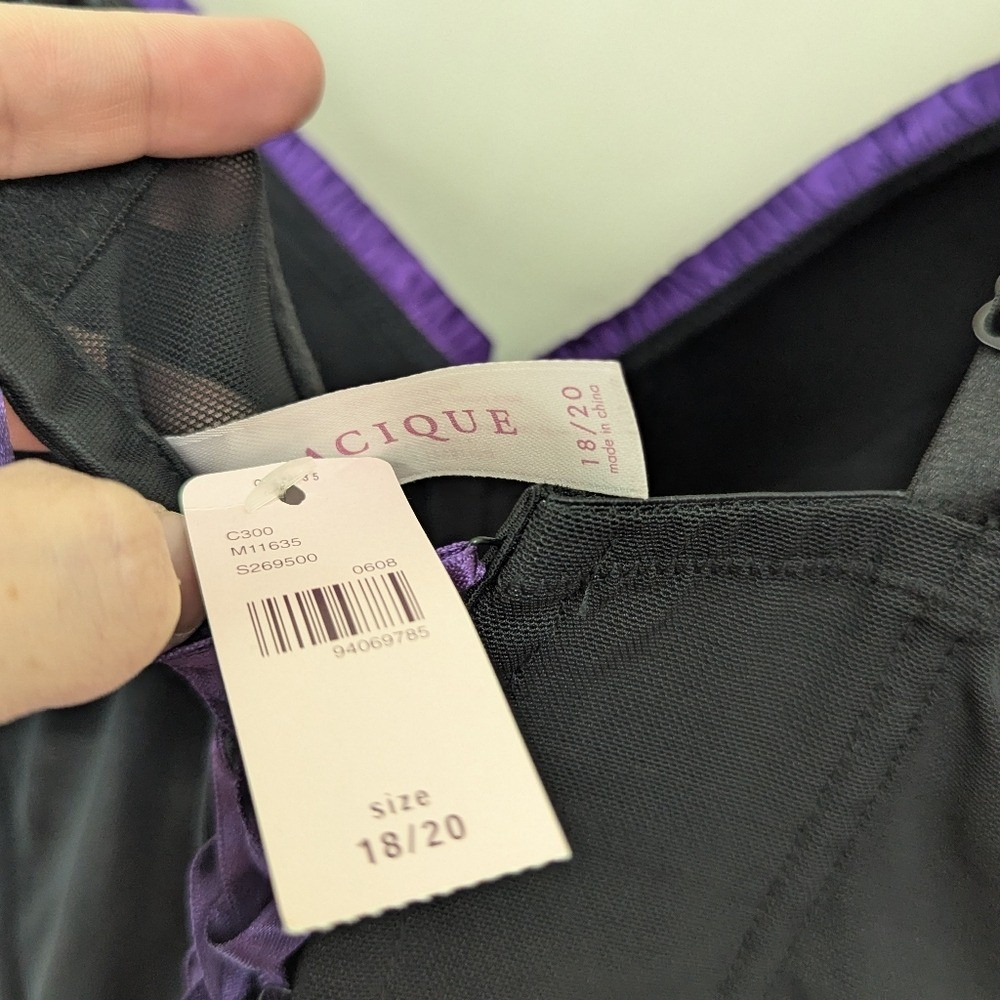 Cacique Baroque Mesh Corset Top Romantic Coquette Y2K Whimsigoth 18/20 Plus