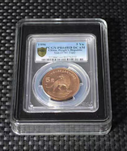 12 Protective Display Case in Plastic Storage Box For NGC / PCGS Slab Holder