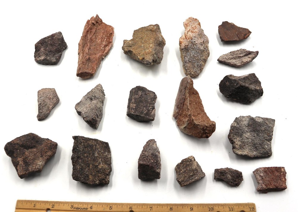 Lot of Dinosaur Bones #18122